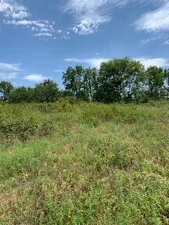 238 E Carter Rd, Rocky Comfort, MO 64861 - photo 3