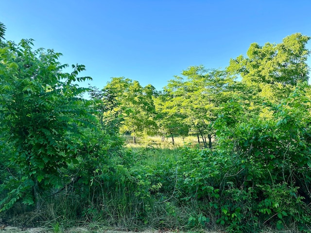 Listing photo 2 for TRACT1B Colombo Rd, Ozark MO 65721