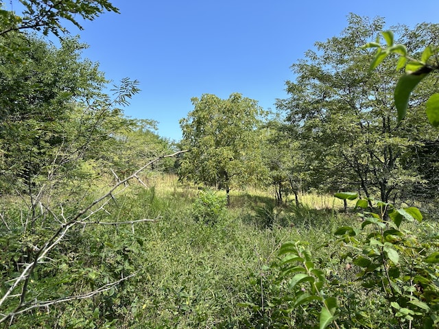 TRACT1B Colombo Rd, Ozark MO, 65721 land for sale