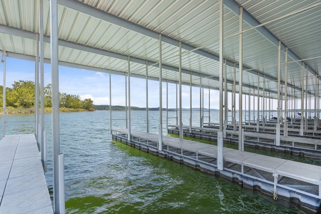 dock area with a water view