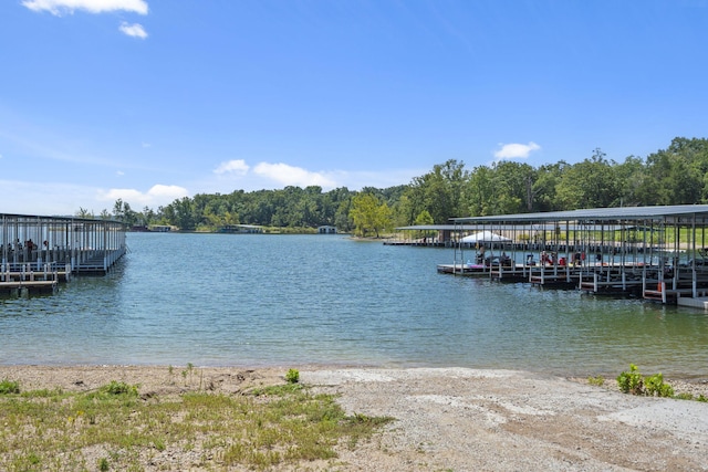 dock area with a water view