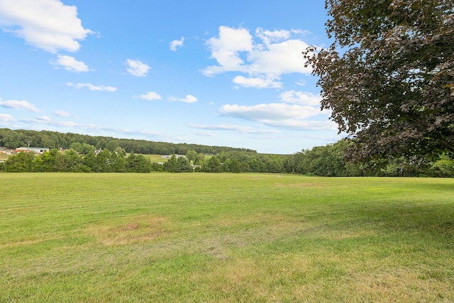 view of yard with a rural view