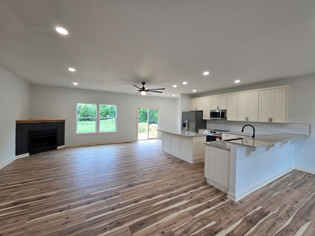 kitchen featuring stainless steel appliances, kitchen peninsula, and hardwood / wood-style floors