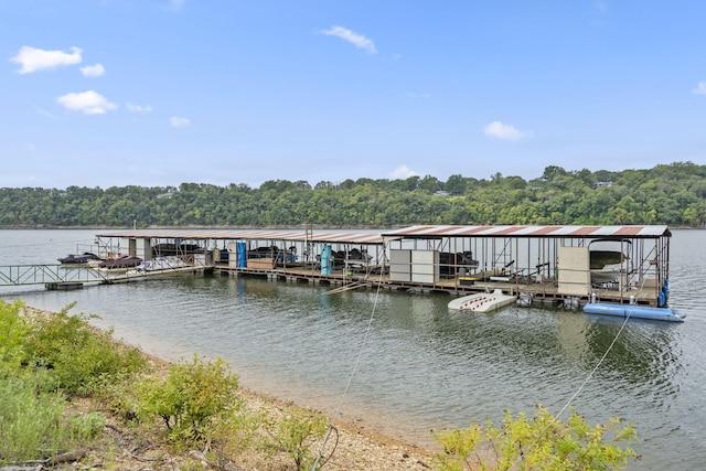 dock area with a water view