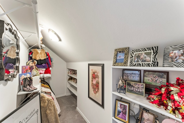 spacious closet featuring lofted ceiling and carpet