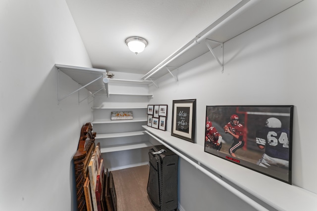 walk in closet with hardwood / wood-style floors