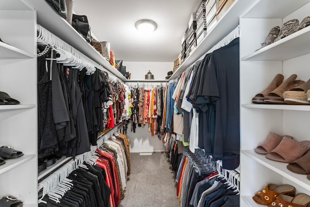 walk in closet featuring carpet floors