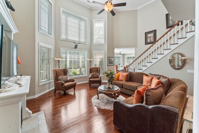 living room with ornamental molding, ceiling fan, a high ceiling, and dark hardwood / wood-style flooring