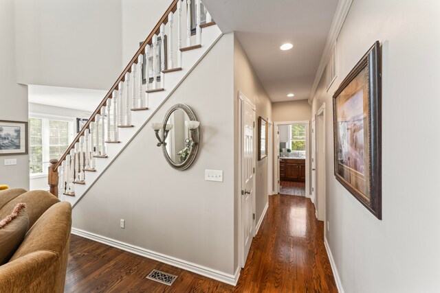 hallway with crown molding and dark hardwood / wood-style flooring