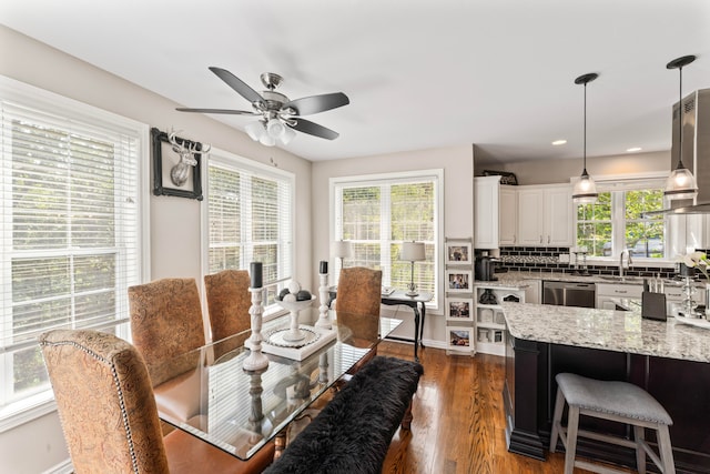 dining room featuring ceiling fan, sink, plenty of natural light, and dark wood-type flooring