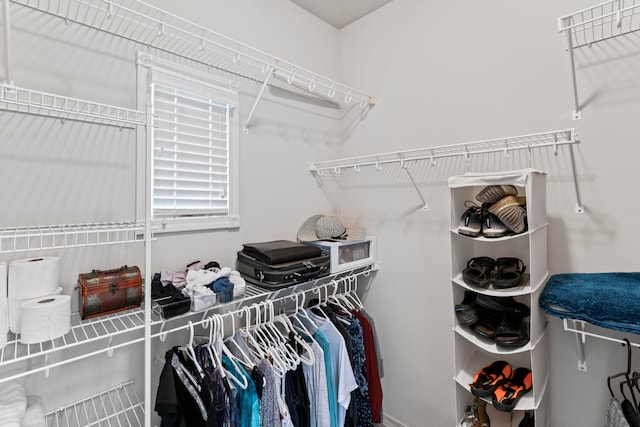 view of spacious closet