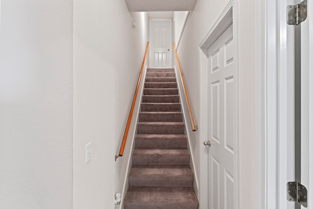 stairway featuring carpet