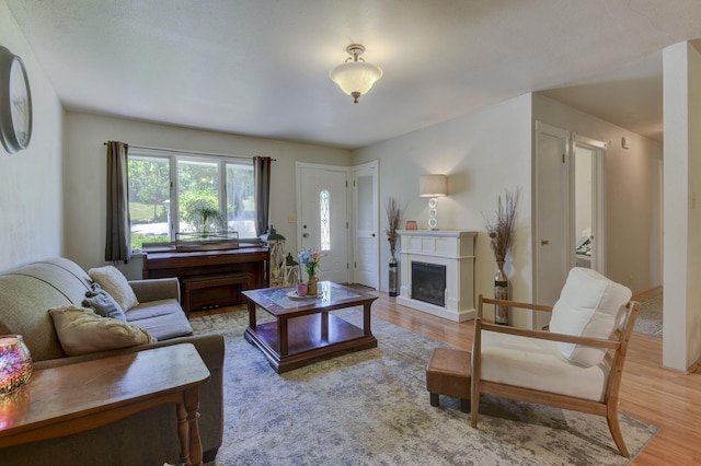 1029 Cliff Dr, Branson, MO 65616 - living room featuring a fireplace and light wood-style flooring