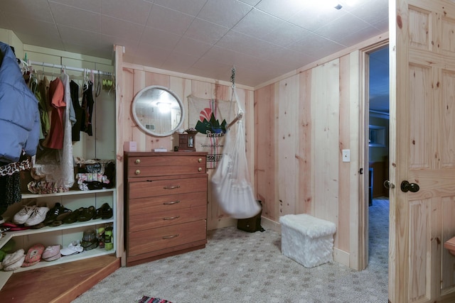 1029 Cliff Dr, Branson, MO 65616 - spacious closet featuring carpet flooring