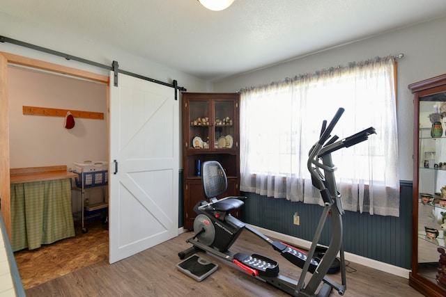 workout area featuring a barn door and wood-type flooring