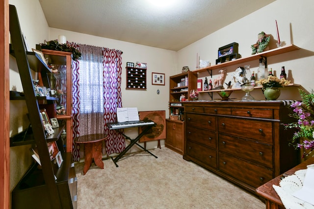 misc room featuring light carpet and a textured ceiling