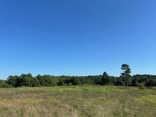 1742 Date Dr, Summersville, MO 65571 - photo 6