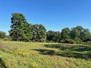 1742 Date Dr, Summersville, MO 65571 - photo 3
