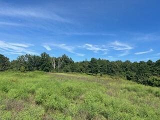 1742 Date Dr, Summersville, MO 65571 - photo 45
