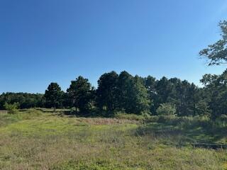 1742 Date Dr, Summersville, MO 65571 - photo 48