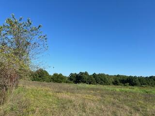 1742 Date Dr, Summersville, MO 65571 - photo 52