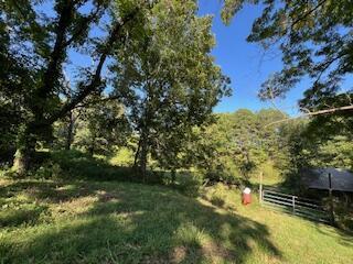 1742 Date Dr, Summersville, MO 65571 - photo 60
