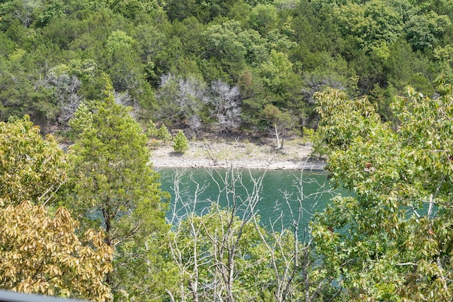1303 Rocky Shore Ter Unit 3, Kimberling City, MO 65686 - photo 28