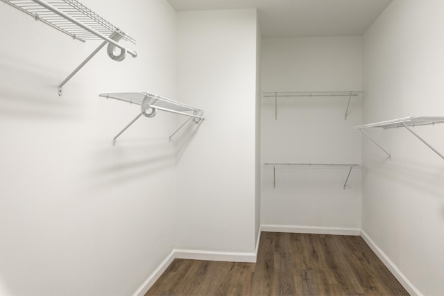 walk in closet with dark hardwood / wood-style floors