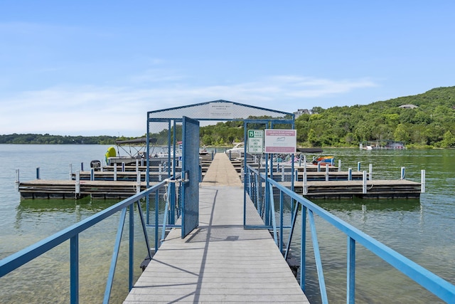 dock area with a water view