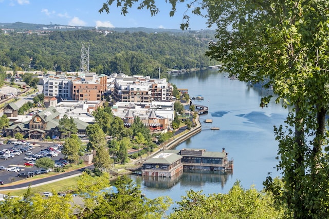 drone / aerial view featuring a water view