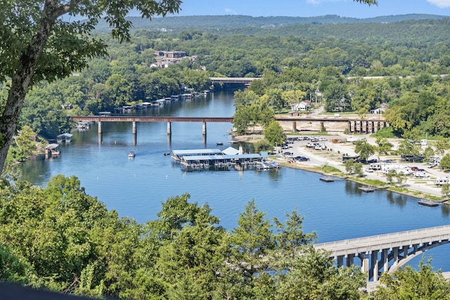 water view featuring a boat dock