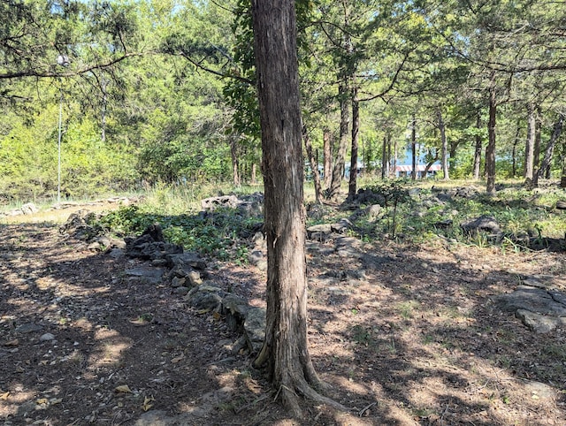 view of local wilderness