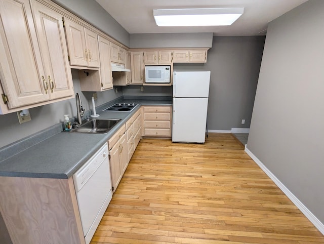 kitchen with light wood-type flooring, light brown cabinetry, white appliances, and sink