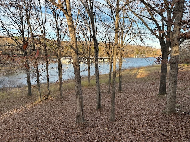 property view of water