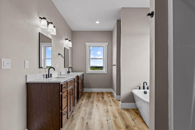 bathroom with vanity, wood-type flooring, and a washtub