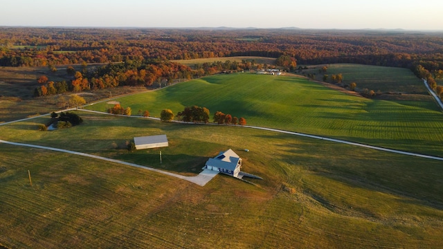 bird's eye view