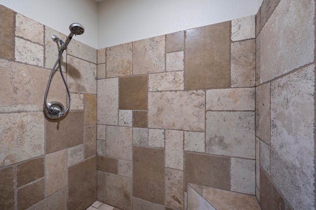 interior details featuring walk in shower