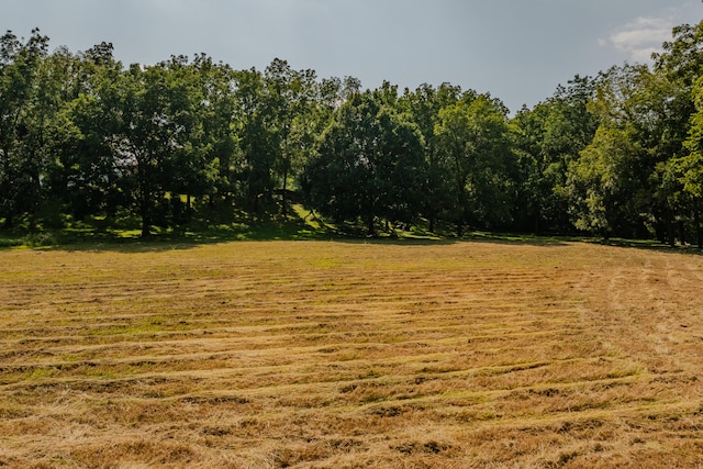 view of yard featuring a rural view