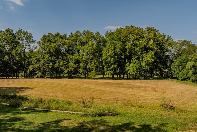 view of landscape featuring a rural view