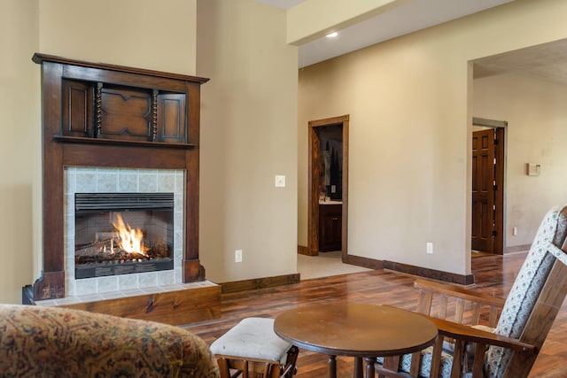 living room with wood-type flooring and a fireplace