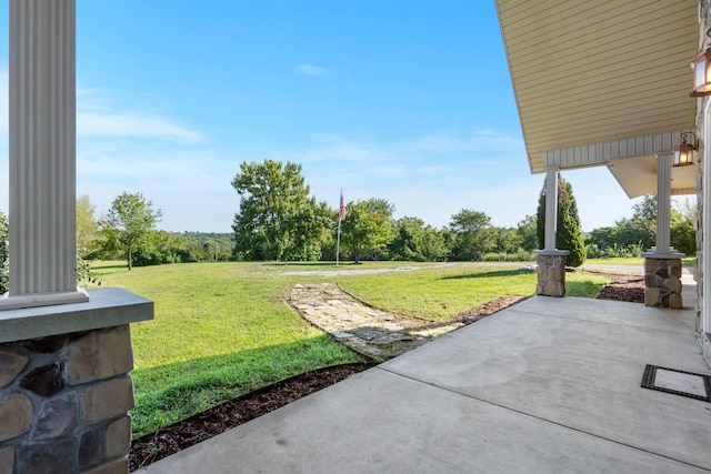 view of yard featuring a patio