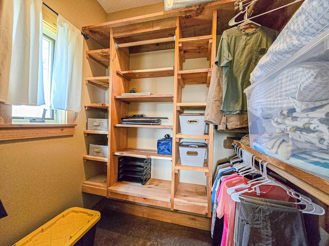 view of walk in closet