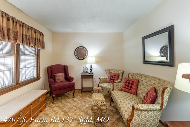 living area with light carpet and a textured ceiling