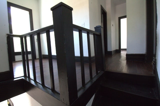 stairway with hardwood / wood-style flooring and a healthy amount of sunlight