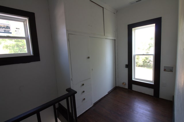 foyer entrance with dark hardwood / wood-style floors and a healthy amount of sunlight