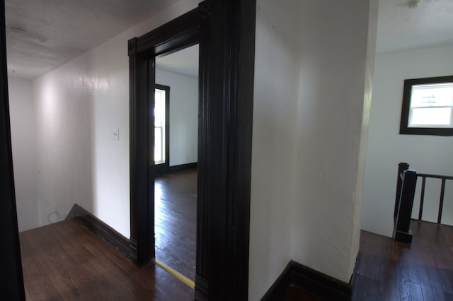 hall with dark hardwood / wood-style flooring