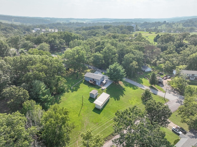 aerial view with a forest view