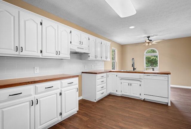 702 E Buffalo St, Bolivar, MO 65613 - kitchen with a peninsula, a sink, dishwasher, under cabinet range hood, and dark wood-type flooring