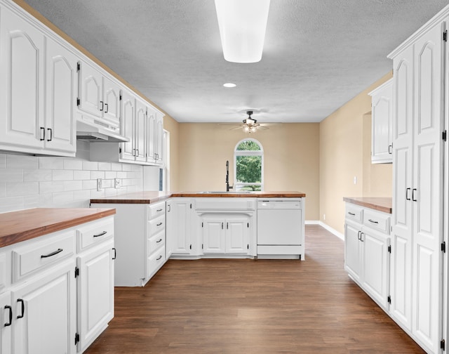 702 E Buffalo St, Bolivar, MO 65613 - kitchen with a peninsula, a sink, a textured ceiling, white dishwasher, and under cabinet range hood