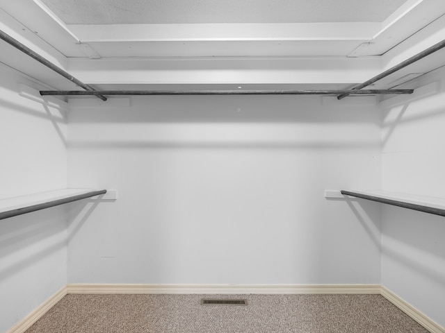 spacious closet with carpet flooring